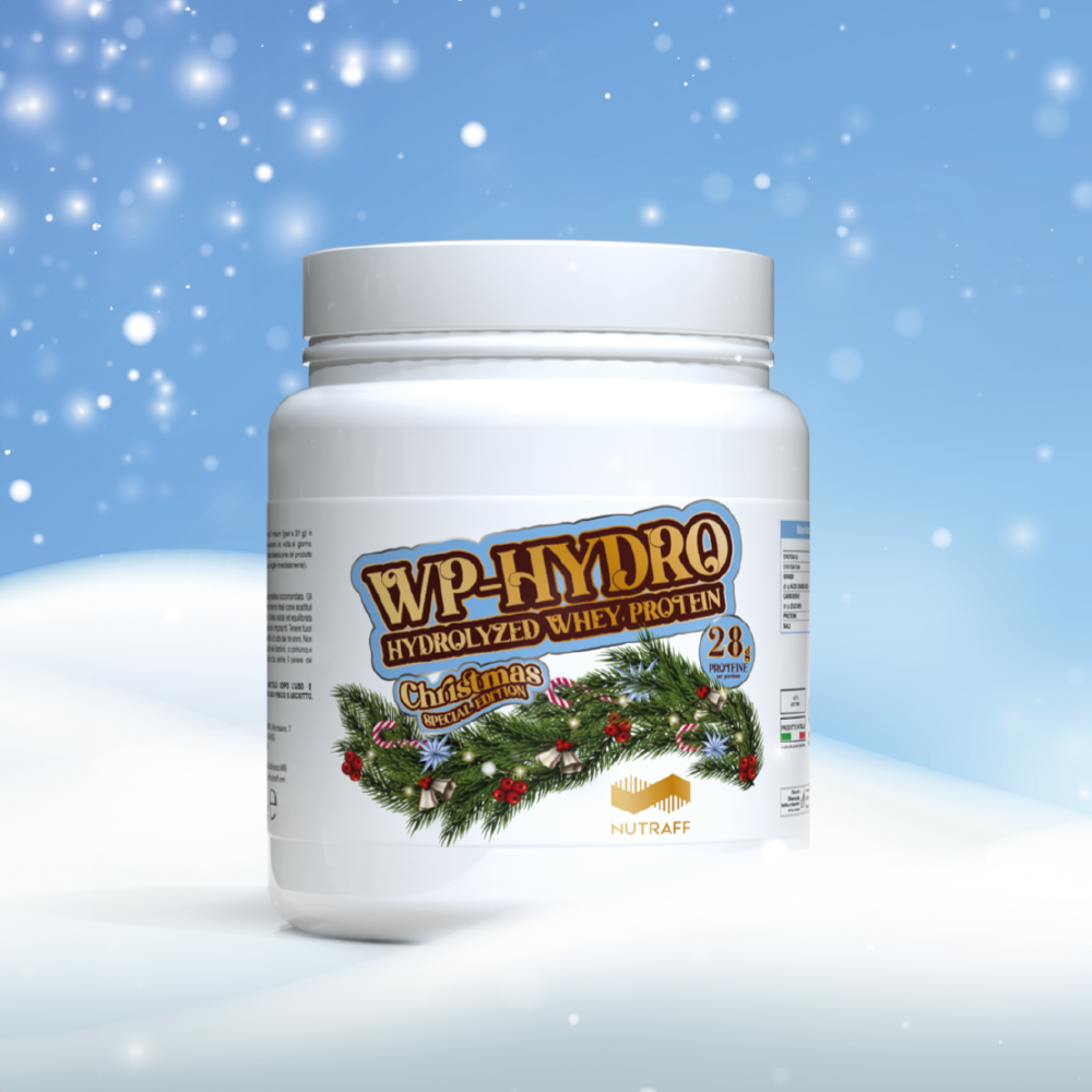 WP-HYDRO gusto Panettone XMAS 2025