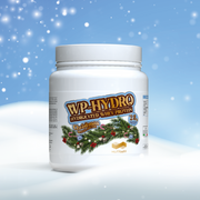 WP-HYDRO gusto Panettone XMAS 2025